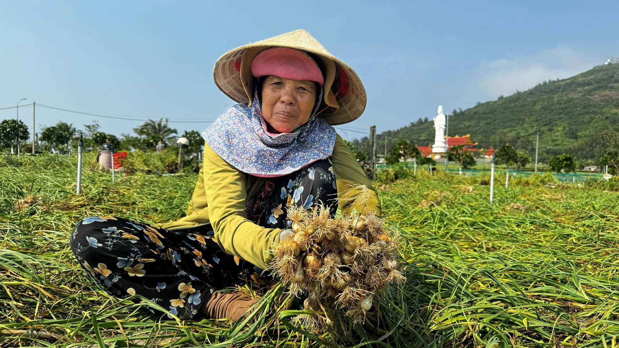 Đảo Lý Sơn ở đâu