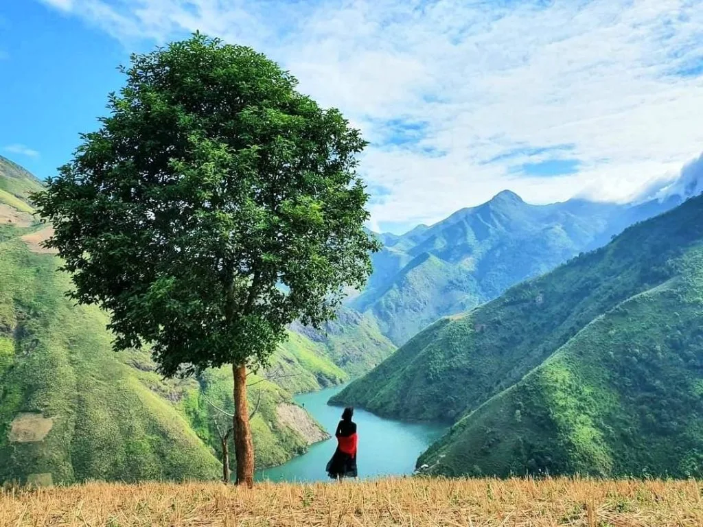 Đi Tà Xùa mùa nào đẹp