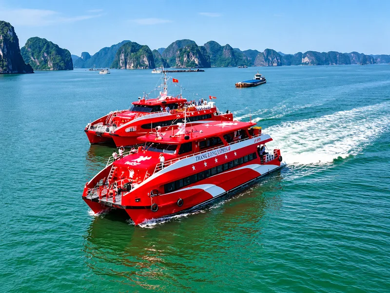 Tàu cao tốc là phương tiện phổ biến giúp du khách nhanh chóng đặt chân đến đảo Cô Tô.